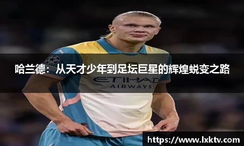bsports官网入口