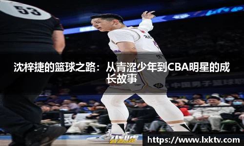B体育bsports