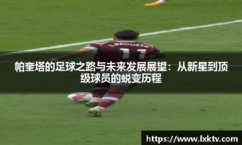 bsports官网入口