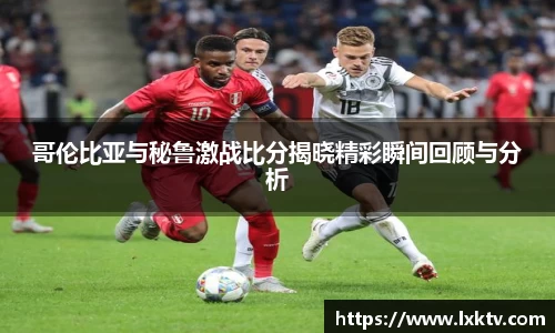 bsports官网入口