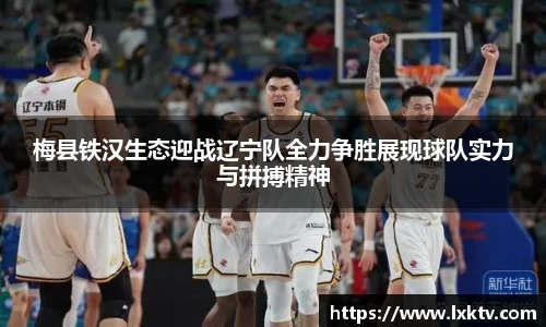 B体育官网