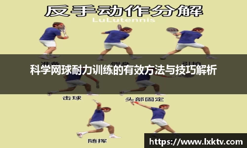 bsports官网入口
